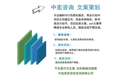 新能源項目商業計劃書代寫制作與咨詢策劃服務 打造專業藍圖，賦能綠色未來