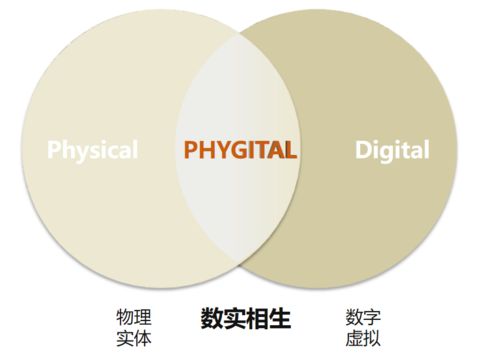 數(shù)實相生 數(shù)字化服務(wù)轉(zhuǎn)型發(fā)展的統(tǒng)籌與融通